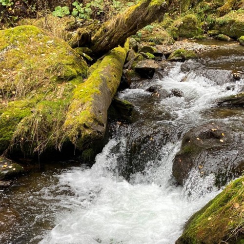 50 оттенков золота: путешествие по сентябрьскому Алтаю в мини-группе