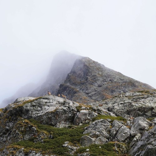Поход в окрестностях Сочи: к озёрам Кардывач и Синеокое