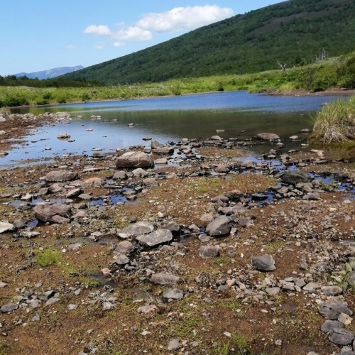 На лошадях к Корякскому вулкану с палатками. Всё включено