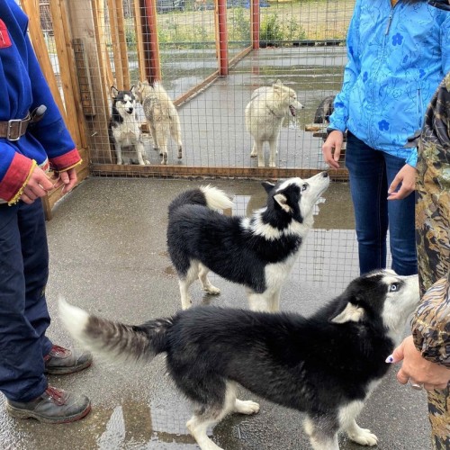 Вкусное путешествие на край света в мини-группе: Мурманск и Териберка