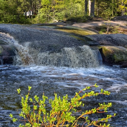 На фэтбайках к рекам и водопадам Карелии