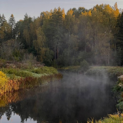 На сапбордах по реке Оредеж в мини-группе со съёмкой