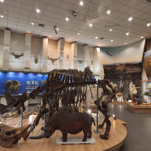 В Якутию на традиционный праздник Ысыах с посещением Ленских столбов и водными прогулками