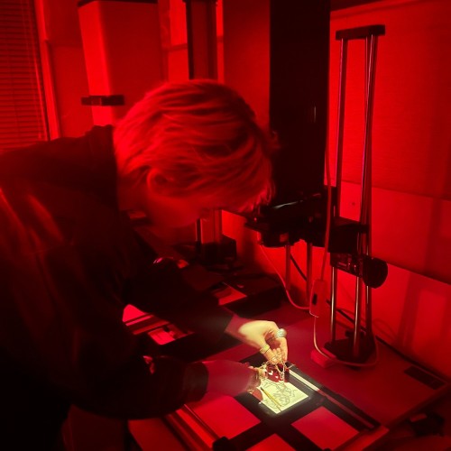 Фотография без камеры: мастер-класс по созданию фотограммы в Петербурге