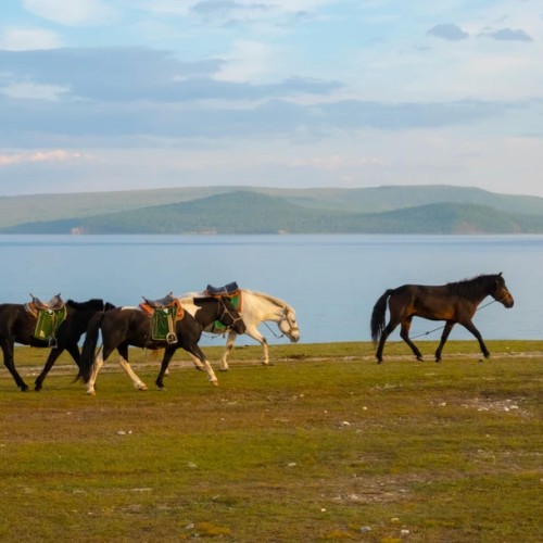 В Монголию в гости к «младшему брату Байкала» из Иркутска: окрестности Хубсугула