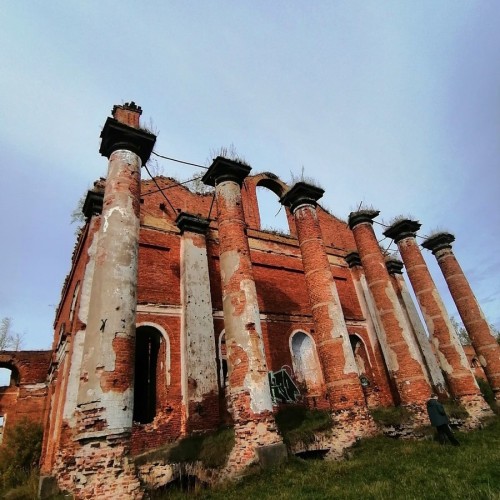 Старинные усадьбы, уютные города и природа: тур по живописным уголкам Новгородской области