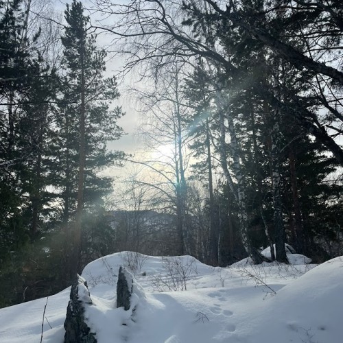 Зимний Алтай: снежные горы, незамерзающие озёра и тысяча лебедей