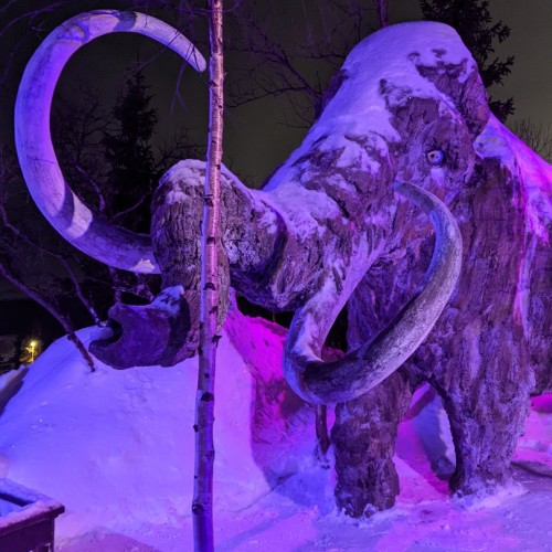 Путешествие в Арктику только для вас: Мурманск, Териберка, северное сияние и локации на ваш выбор