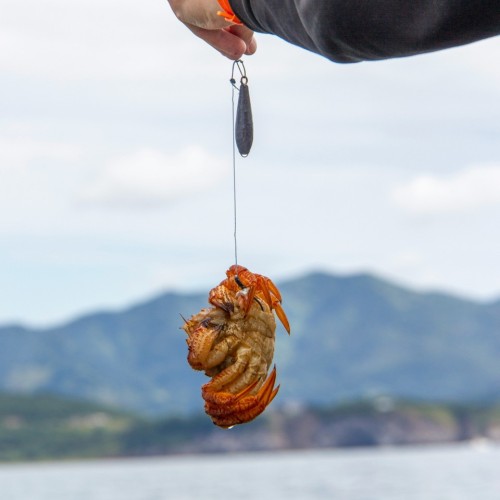 На Камчатку с вулканологом: VIP-экспедиция с прогулкой на вертолёте, рыбалкой, баней и деликатесами