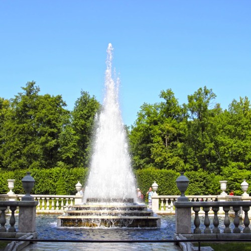 К фонтанам Петергофа — на метеоре (билеты включены)