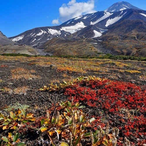 Приключение на Камчатке в своей компании: огнедышащие горы, Малая долина гейзеров и восхождения