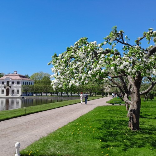Побывать в Петергофе — с индивидуальной экскурсией