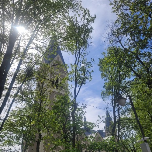 Современный взгляд на Амалиенау