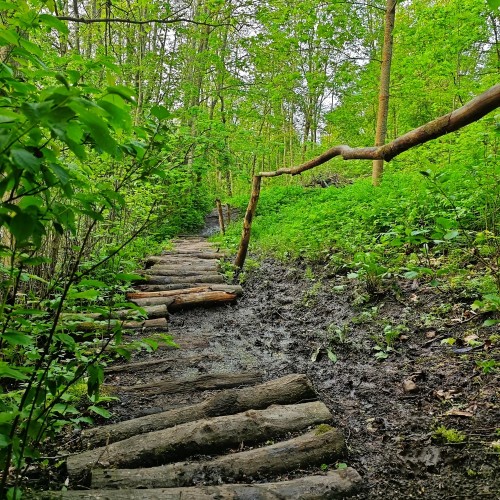 Путешествие-перезагрузка на юг Ленобласти