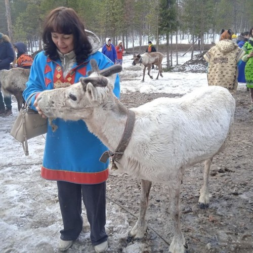 За Полярный круг: в гости к саамам, охота за сиянием и экскурсии по Мурманску и Териберке
