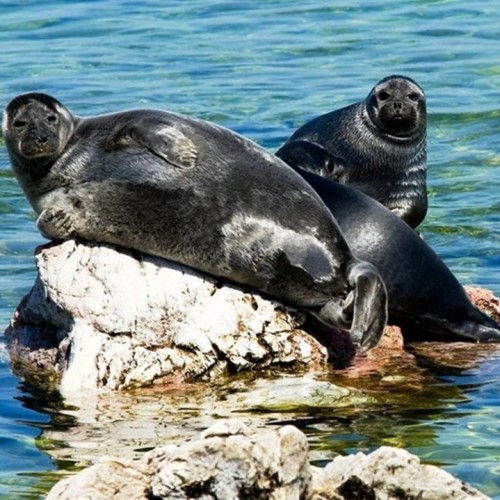 На выходные по шаманским местам и островам Малого Моря Байкала: сплав на лодках (палатки)