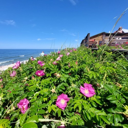 Более 9 городов Калининградской области: автопутешествие только для вашей компании
