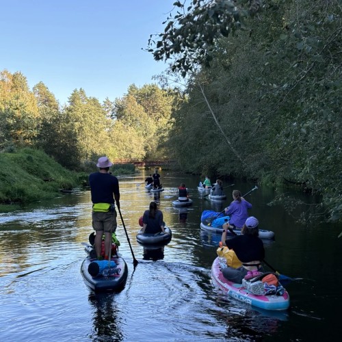 На сапбордах по реке Оредеж в мини-группе со съёмкой
