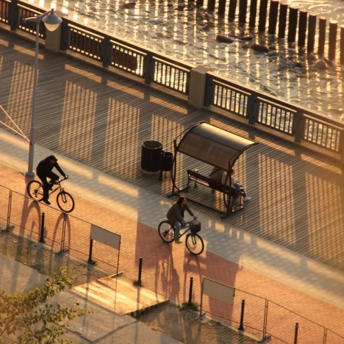 Замки, море и хомлины — лучшие места Калининградской области и дегустация на семейной сыроварне