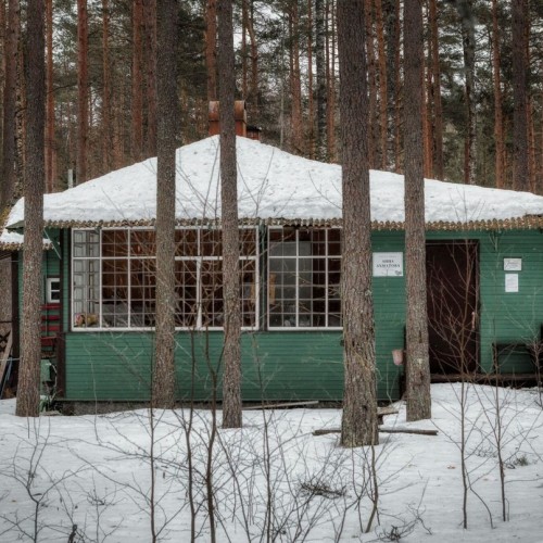 Комарово: аудиопрогулка по Лесной стороне