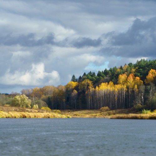 Выходные на Угре: рыбалка с обучением и отдых на природе (всё включено)