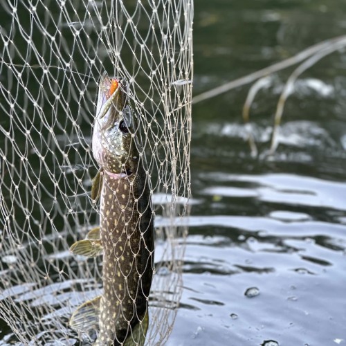 Выходные на Угре: рыбалка с обучением и отдых на природе (всё включено)