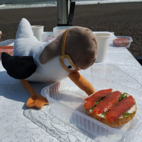 Индивидуально по Камчатке на джипе: столица, топовые локации, вкусы