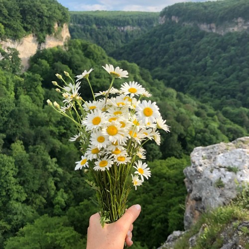 Из Краснодара — к термальным источникам Адыгеи