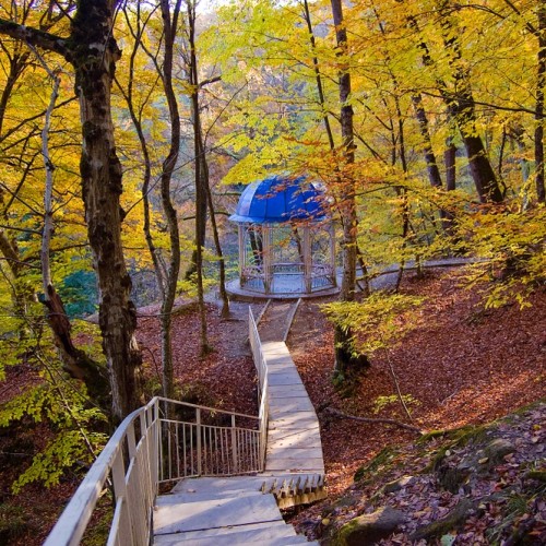 Кубань и Адыгея: казачьи традиции, горы и вина