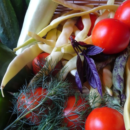 Женское счастье: отдых, правильное питание и проживание с видом на горы