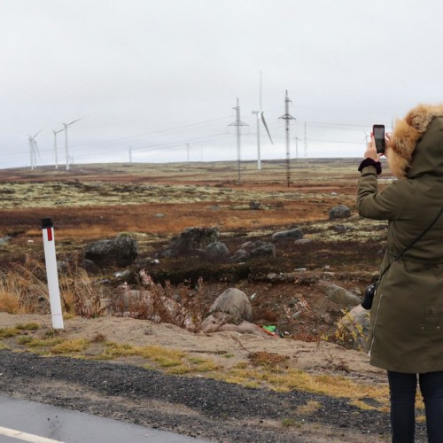 На Кольский в поисках китов и дельфинов мини-группой