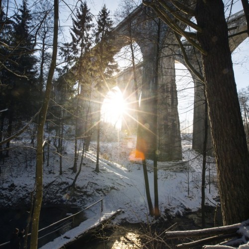 Портал в Средневековье: Правдинск, Гусев и Черняховск, Роминтенская пуща и Выштинецкое озеро