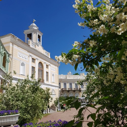 Романтический Павловск: по дворцу и парку с персональным гидом