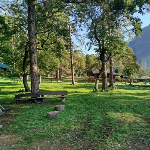 От предгорий Краснодарского края до лугов Красной поляны: треккинг-путешествие