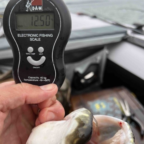 Рыбалка на трофейного хищника Иркутского водохранилища (индивидуально)