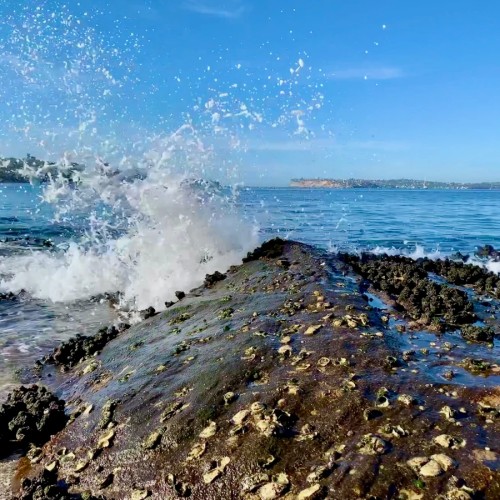 Манящий Сахалин и таинственный Итуруп