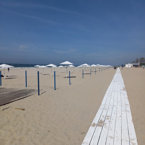 Увлекательные выходные: Калининград и курортные городки с местным гидом