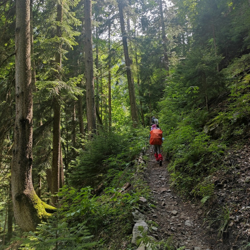 От предгорий Краснодарского края до лугов Красной поляны: треккинг-путешествие