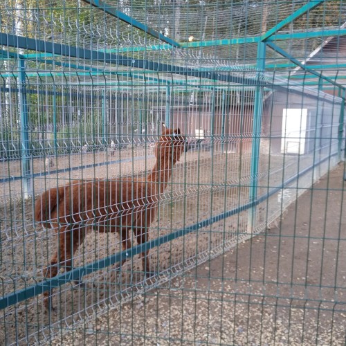 В усадьбу Марьино и к Саблинским водопадам
