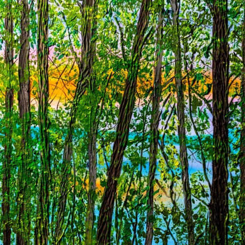 Мастер-класс по текстурной живописи для взрослых и детей в Петербурге