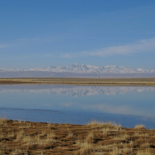 Из Алтая, по Чуйскому тракту — в Монголию на фестиваль беркутчи с проживанием в юрте