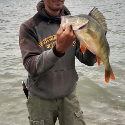 Результативная рыбалка на Гусином озере в своей компании