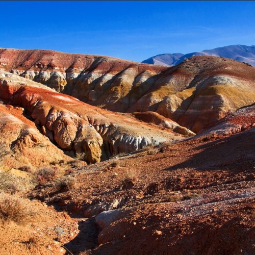 Алтайские места силы и древние петроглифы (в мини-группе)