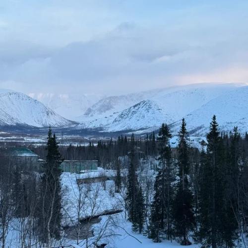 Тур-приключение в Арктике: Териберка и Кировск, кулинарный мастер-класс и северное сияние
