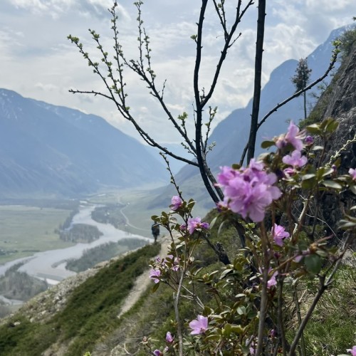 Хайкинг по главным местам Алтая: горы, озёра и водопады