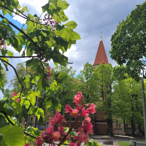 Современный взгляд на Амалиенау