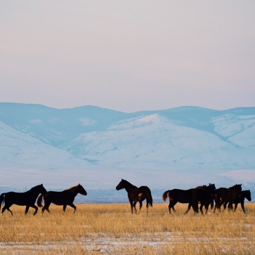 Восточное побережье Байкала: бурятские вкусности, Баргузинская долина и Чивыркуйский залив