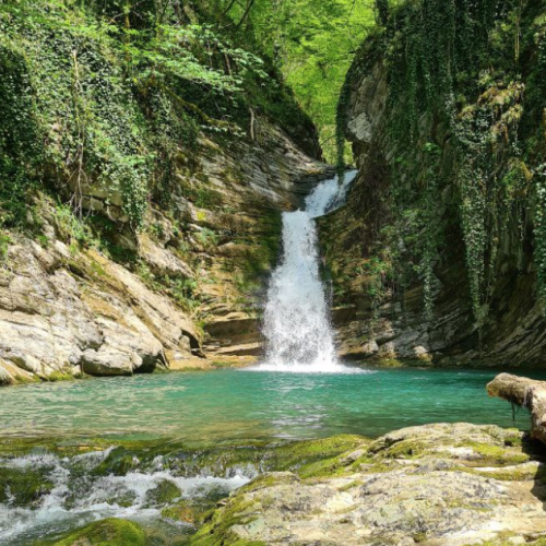 Приключения на лошадях в Сочи для новичков и опытных: по ущельям, долинам и лесам