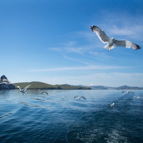 Путешествие на Байкал: рыбалка на судне, лучшие локации Ольхона и места силы