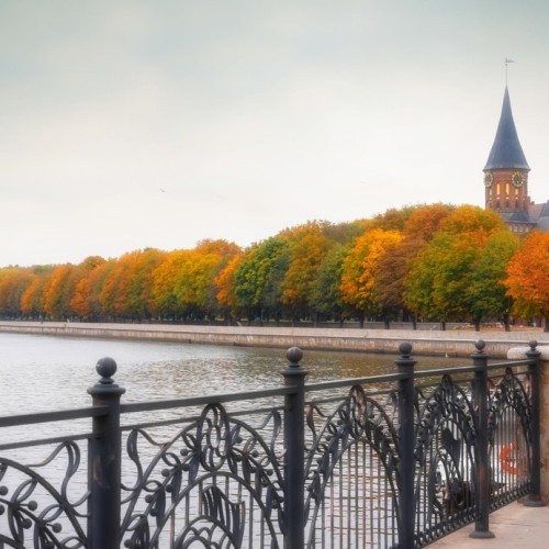 Гранд-тур по Калининграду и области с выбором экскурсий